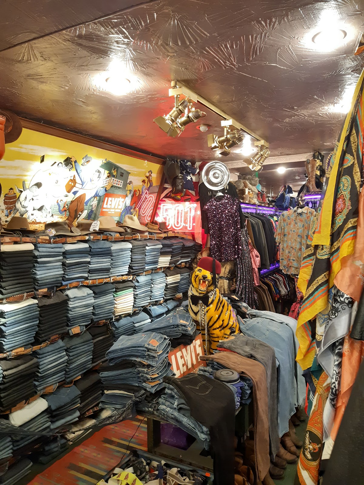 Barracuda — photo 2