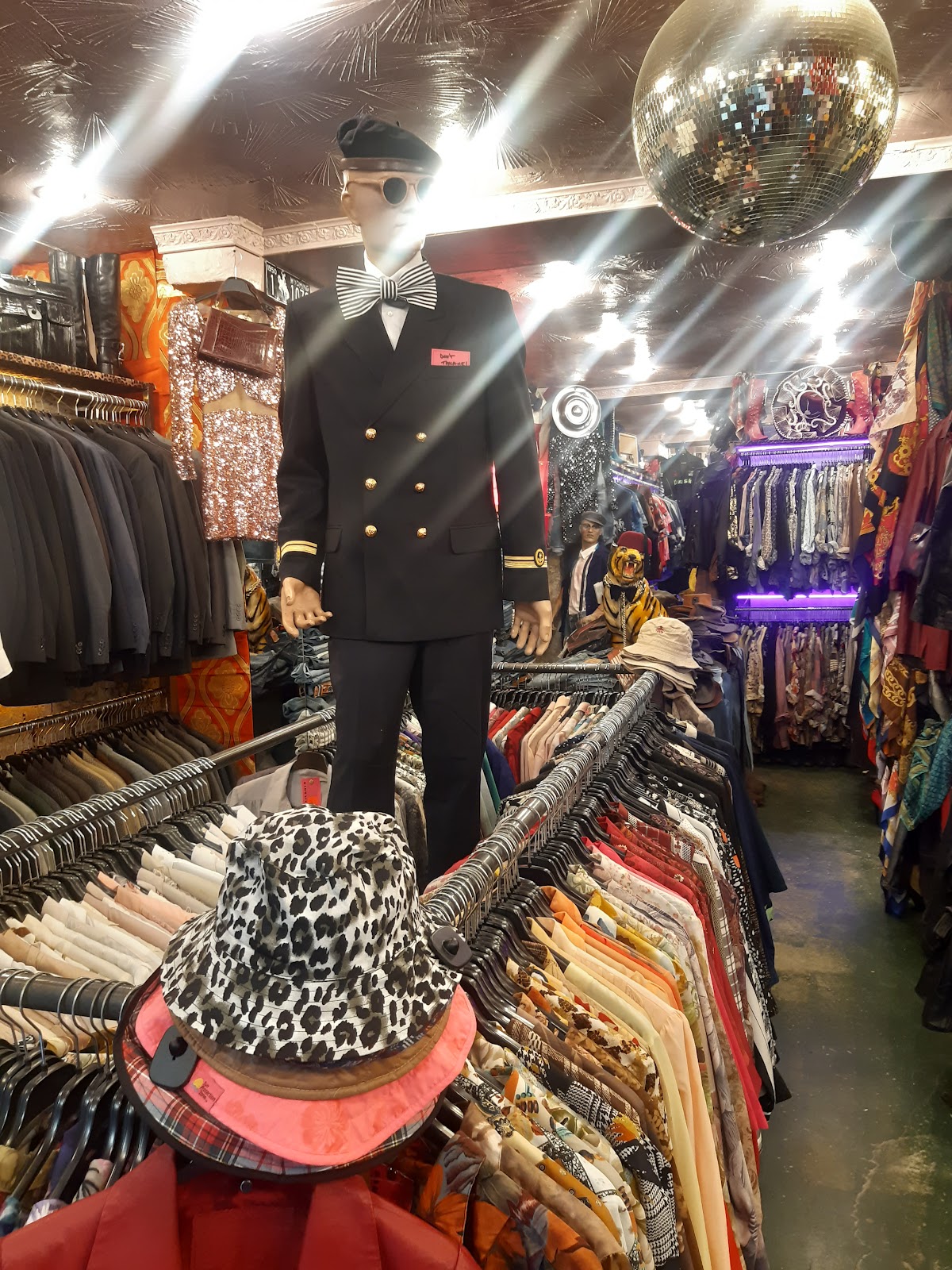 Barracuda — photo 4