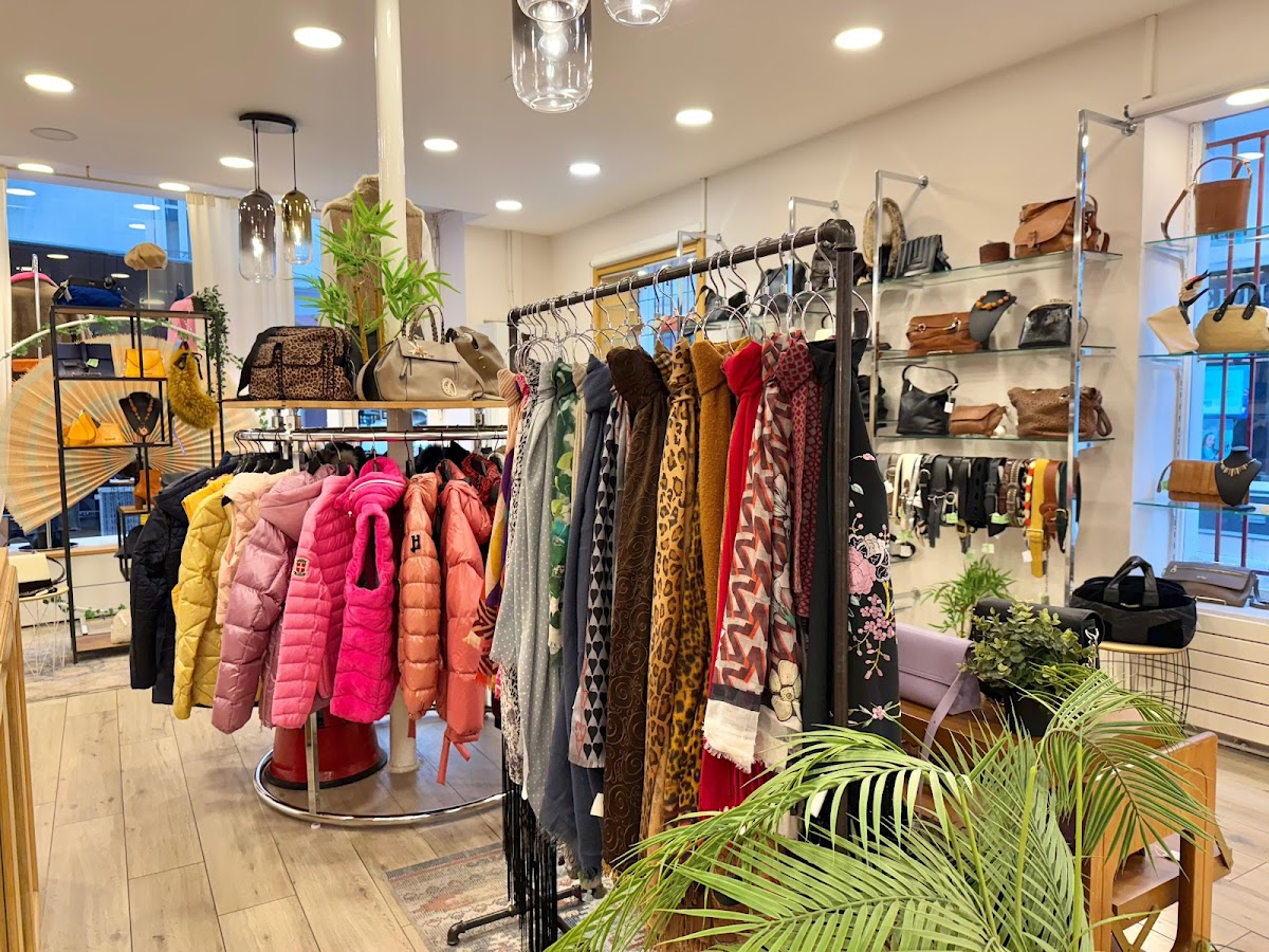 Chercheminippes — photo 3