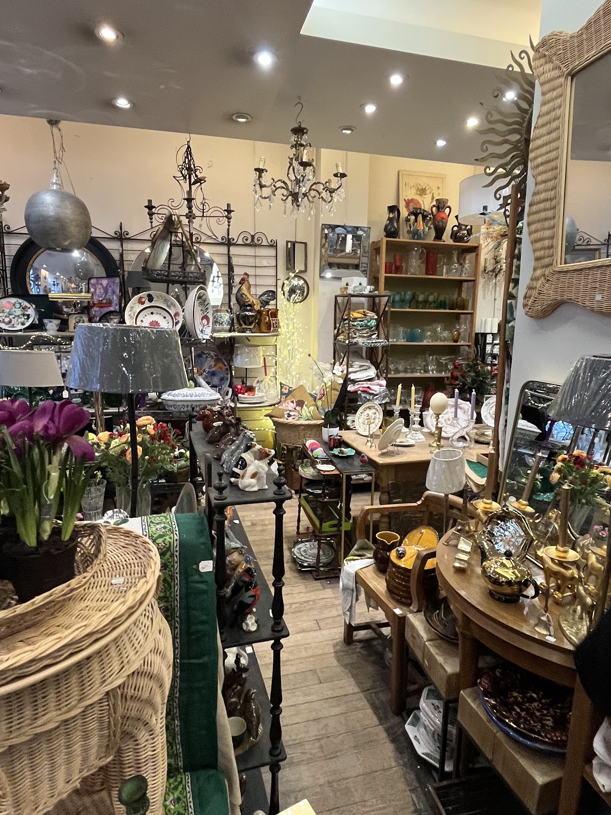 Florent Monestier — photo 2