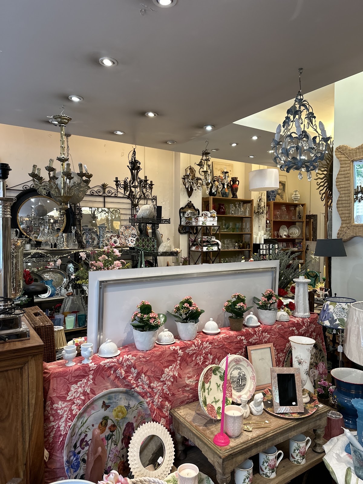 Florent Monestier — photo 5