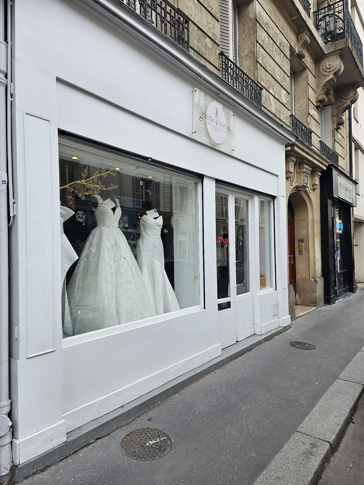 Photo de Graine de coton