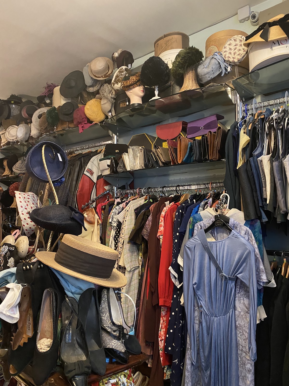 Mamie Blue — photo 2