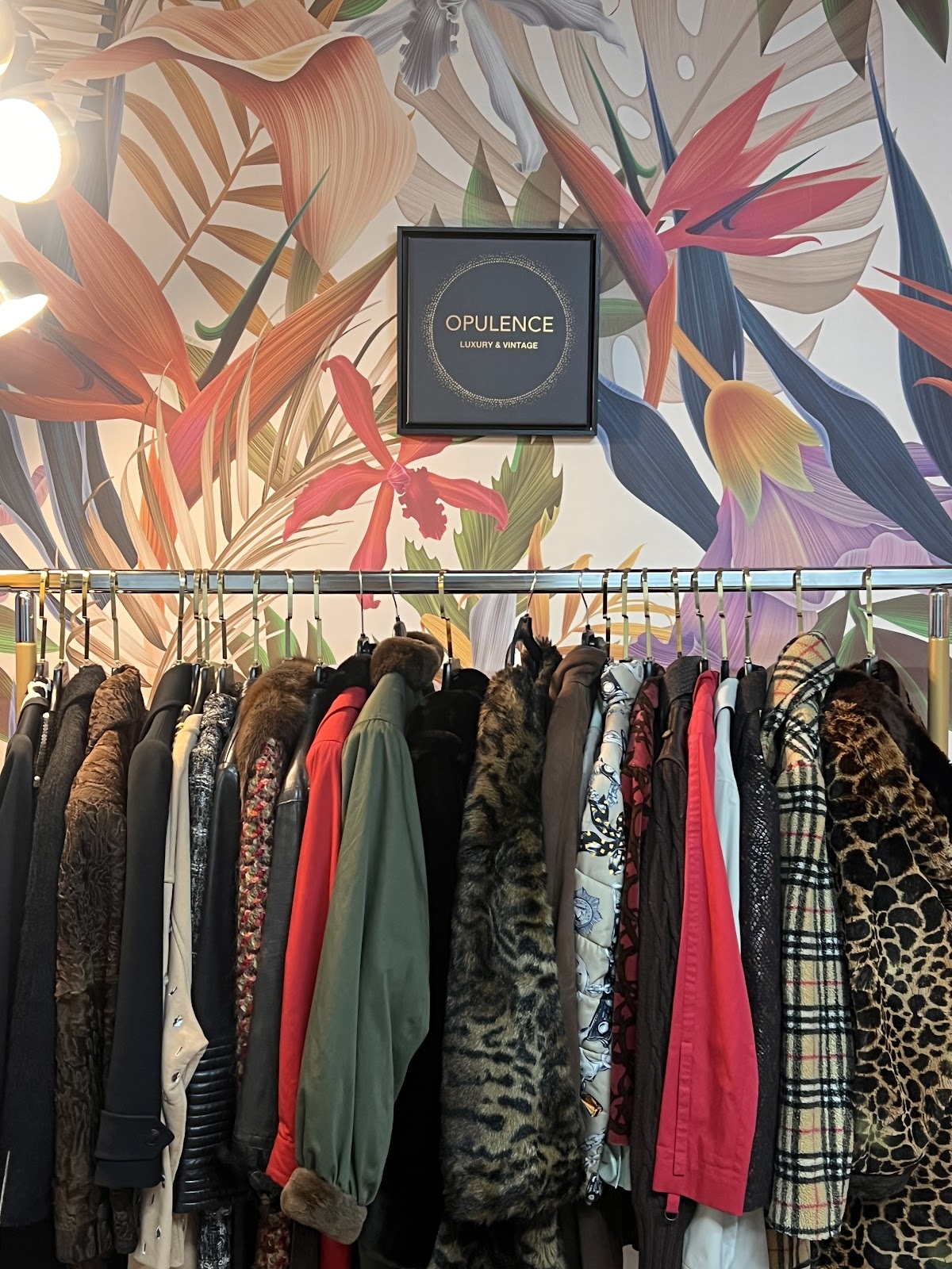 Opulence Vintage Oberkampf — photo 5