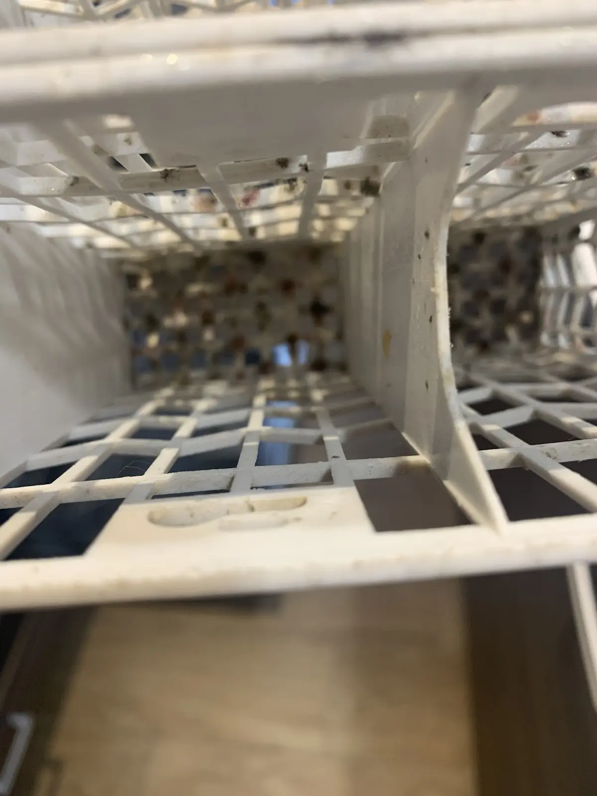Recyclum — photo 3